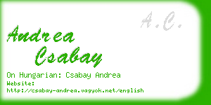 andrea csabay business card